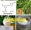 Giant Knotweed Extract